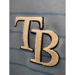 Men's Tampa Bay Baseball Nike Polo Shirt Size Large